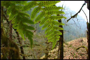 wp30f619ca_0f.jpg