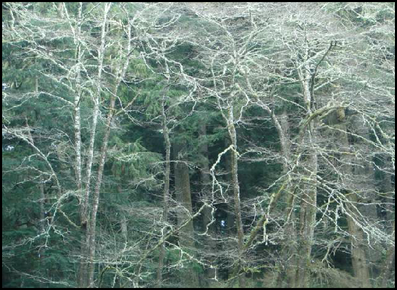 wp723c2c82.png